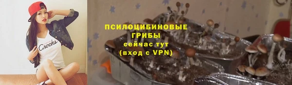 ешки Алзамай