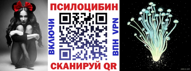 Псилоцибиновые грибы Psilocybine cubensis  где купить наркотик  Мытищи 