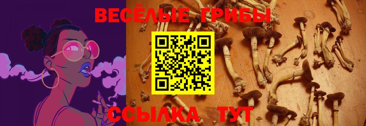 Галлюциногенные грибы мицелий Мытищи