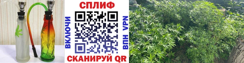 Каннабис Amnesia Мытищи